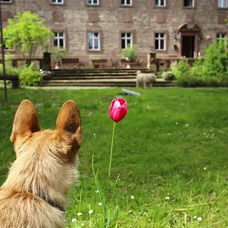 Holiday Flat Im Schloss Zingst - Dls02004-p